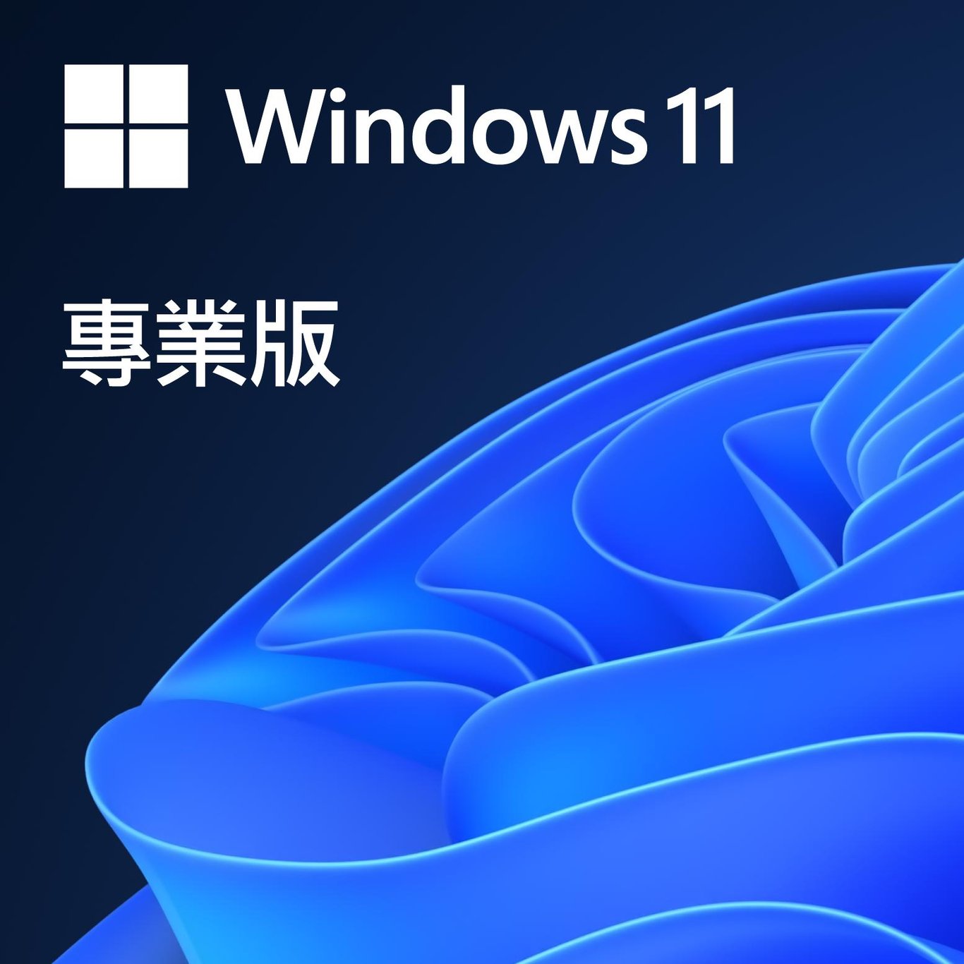 Microsoft Windows 11 Pro 專業版 (OEM 跟機)