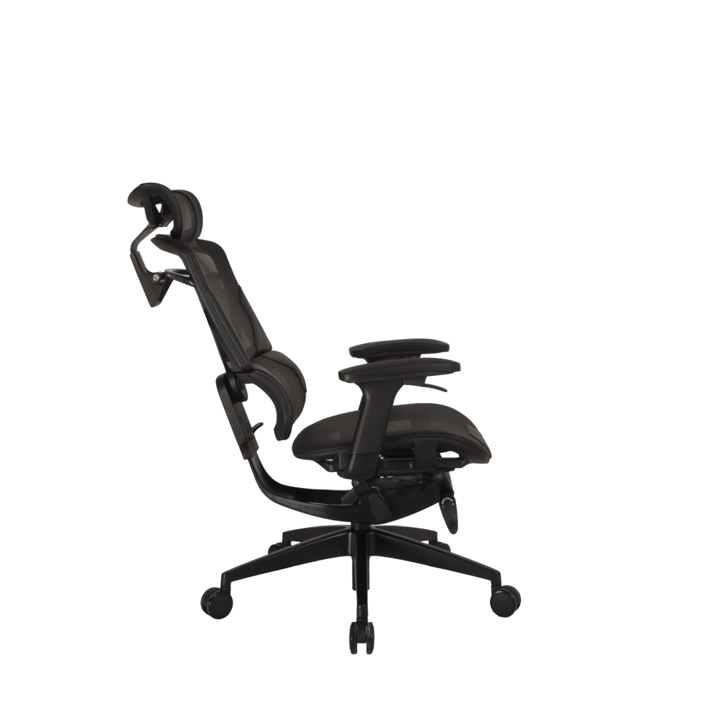 Zenox Nebula Series Office Chair 人體工學辦公椅