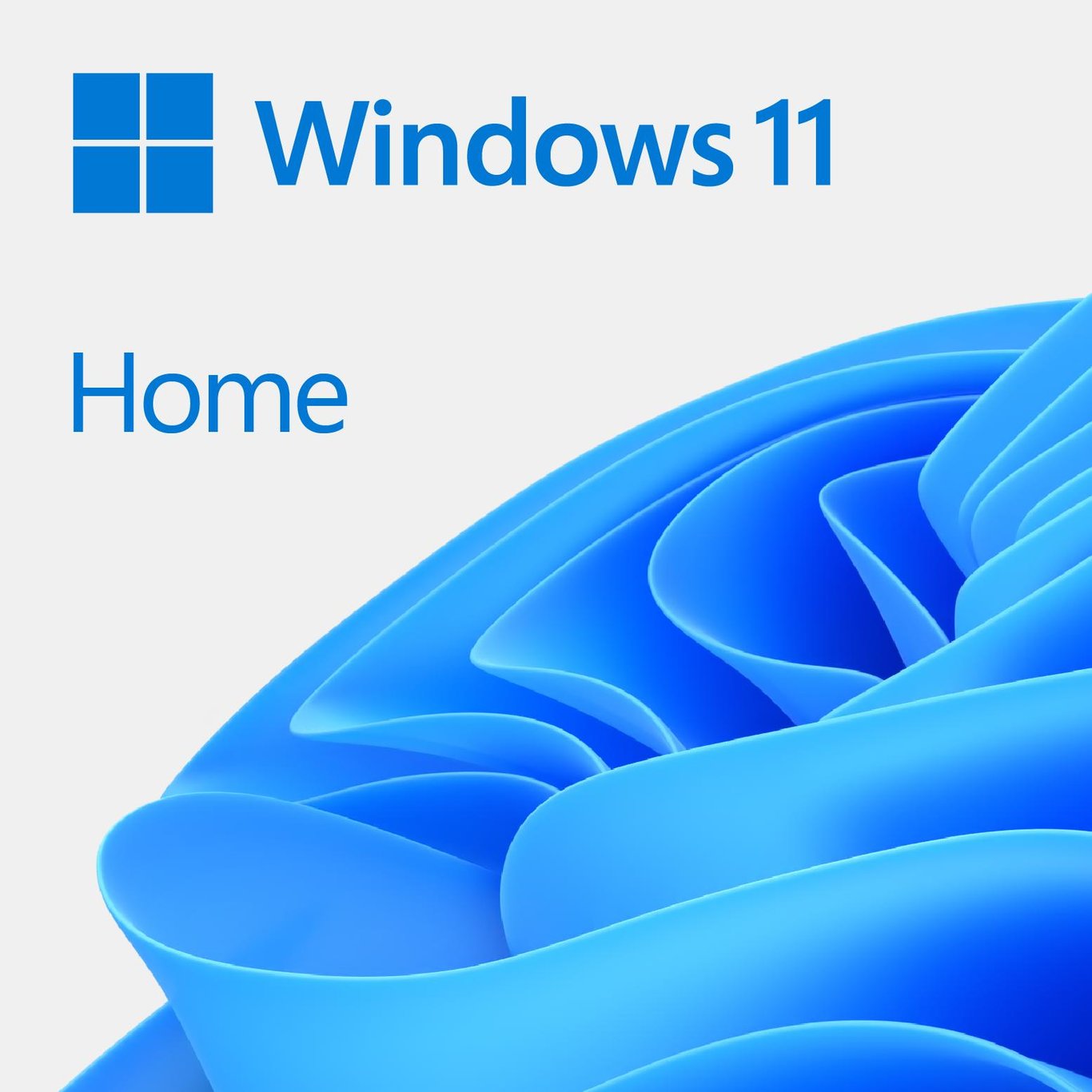 Microsoft 微軟 Windows 11 Home 家用版 (OEM 跟機)